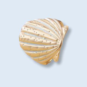 Schelp ring