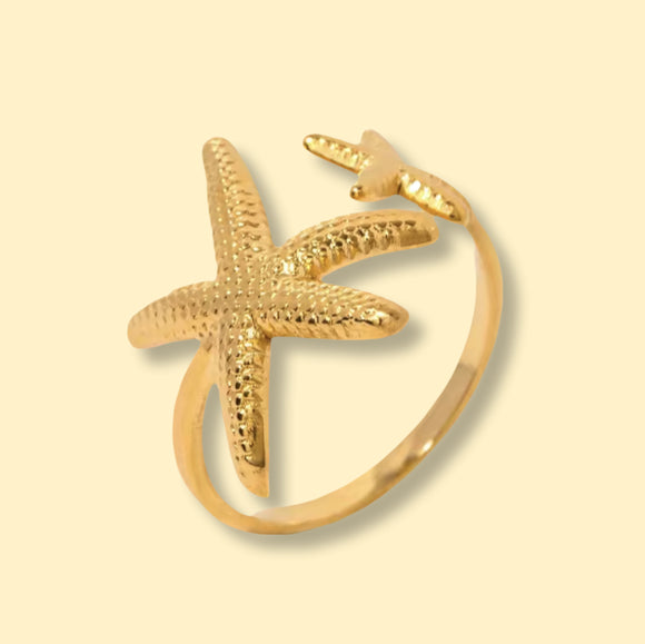 Dubbele zeester ring